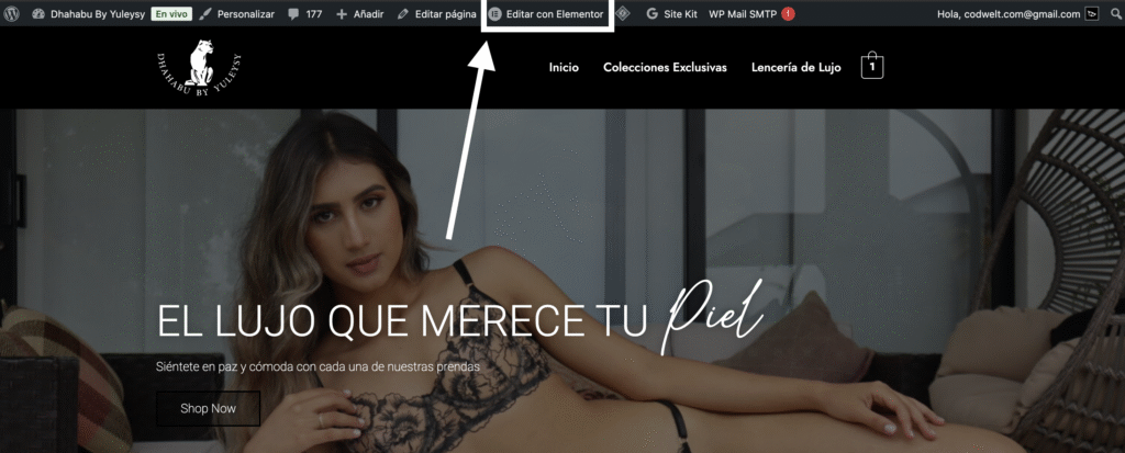 Cambiar banner en Elementor guía fácil con fondo clásico 1 Cambiar Banner En Elementor